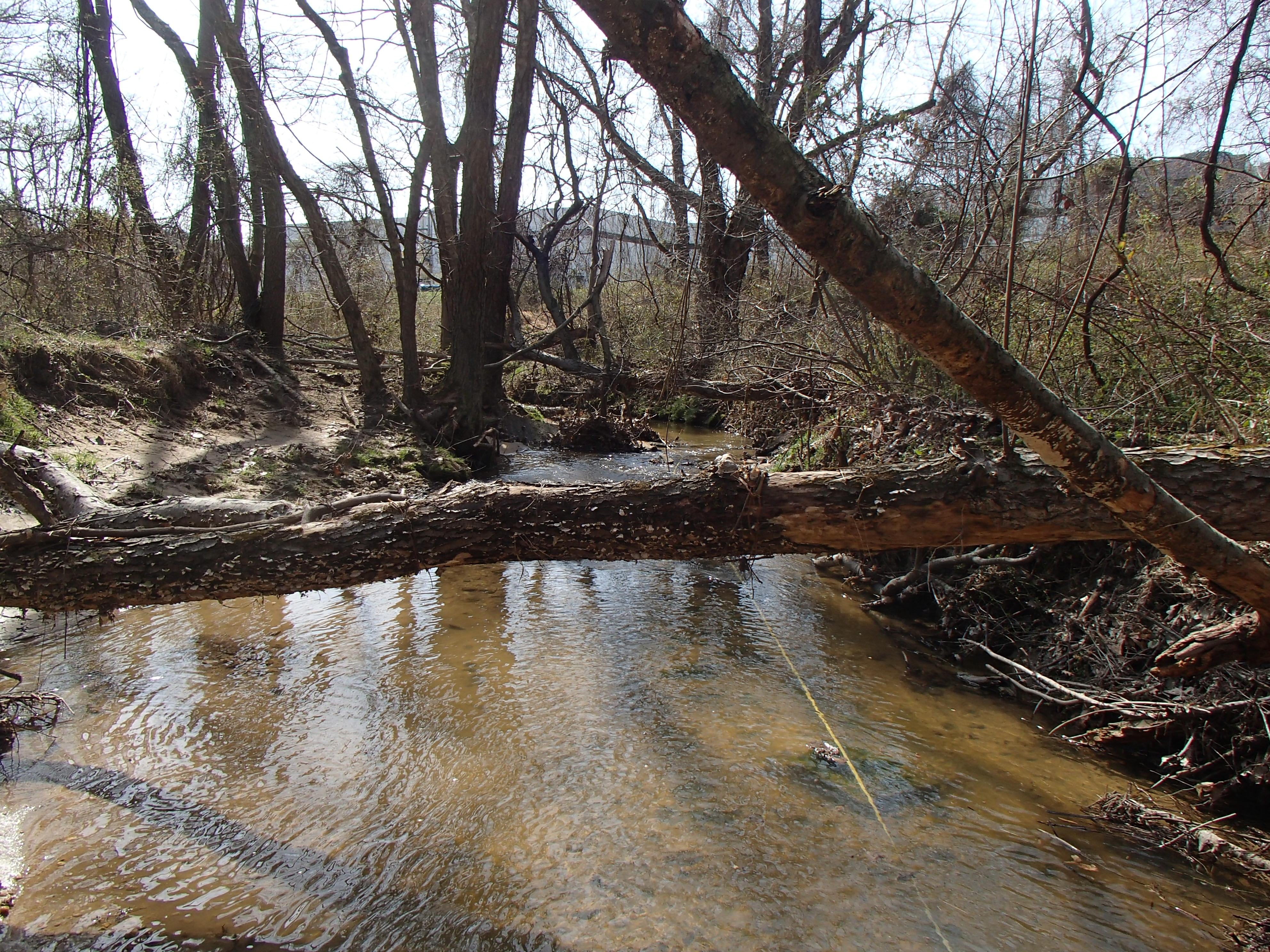 Field photo showing stream conditions at site CHRI-105-R-2016_midpoint upstream